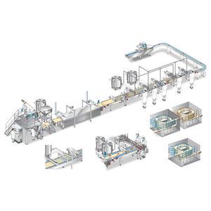 cannelloni production line