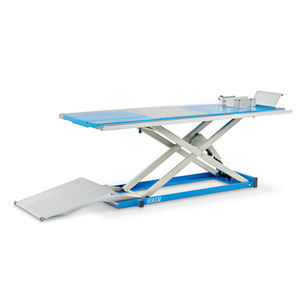scissors car lift 1
