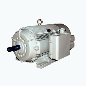 AC motor / three-phase / asynchronous / 60 V