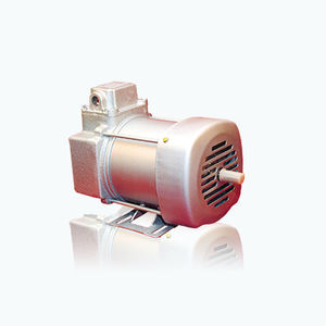 AC motor