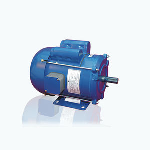 AC motor