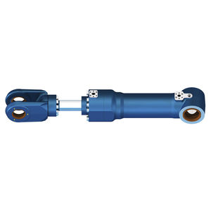 hydraulic cylinder