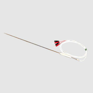 Pt100 thermometer