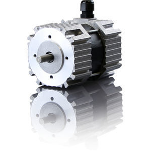 EC servomotor