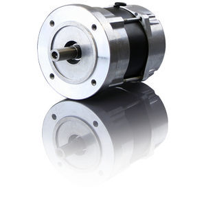 BLDC servomotor 1