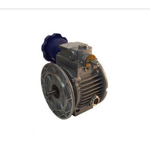 mechanical variator with worm reduction gear