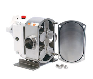 rotary lobe pump