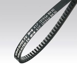 slotted belt 1