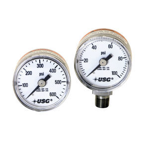 absolute pressure gauge