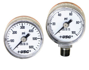 absolute pressure gauge