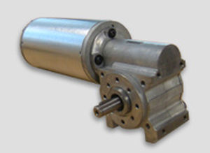 DC gear-motor