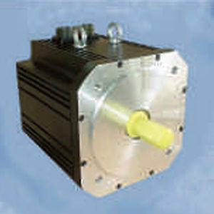 交流伺服电动机