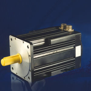 交流伺服电动机