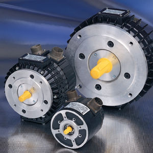 交流伺服电动机