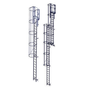 aluminum ladder
