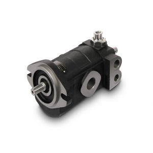 gear hydraulic motor