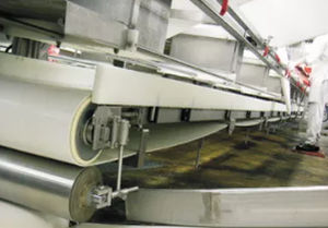 perforated conveyor belt