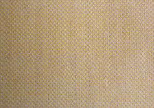 聚四氟乙烯输送带