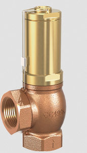 gas relief valve 1