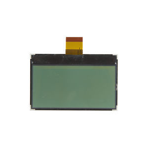 FSTN display module 1