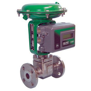globe valve