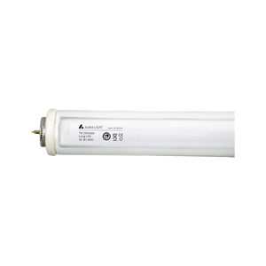 light fixture