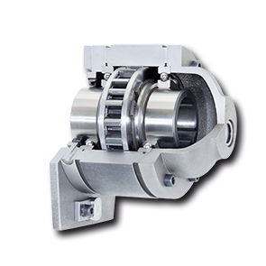 sprag one-way clutch 1