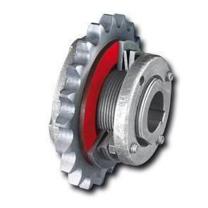 mechanical torque limiter 1