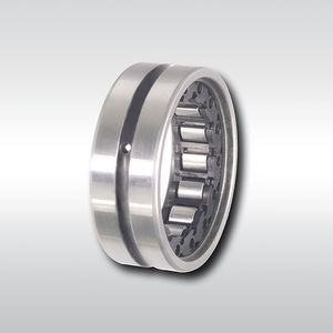 one-way roller clutch / internal / backstop / indexing
