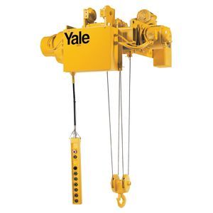 trolley hoist 1