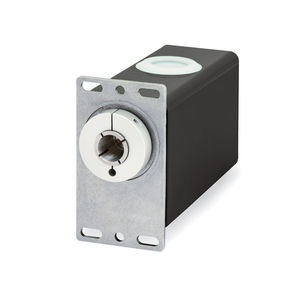 rotary actuator