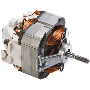 AC motor