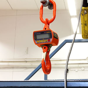 digital crane scale