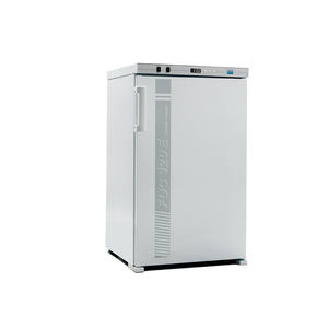 forced convection incubator 1
