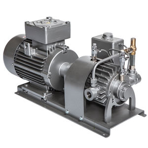 rotary vane compressor