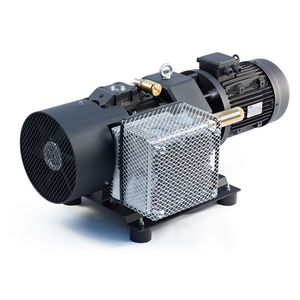 rotary vane vacuum pump 1