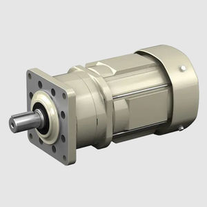 AC gear-motor 1