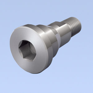 fastening screw