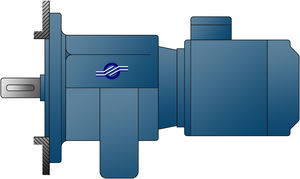 worm gear reducer