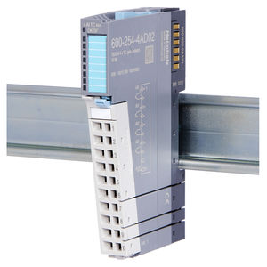 analog input module