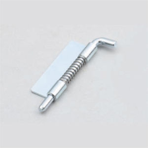 spring hinge 1