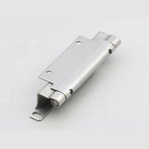 concealed hinge
