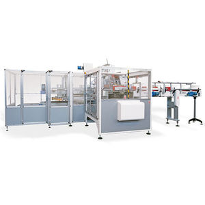 horizontal case packer