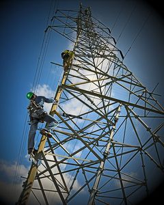 vertical lifeline