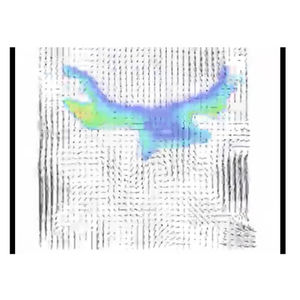 PLIF flow visualization system