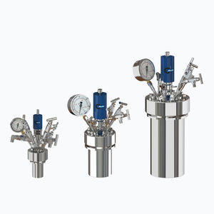 high-pressure autoclave