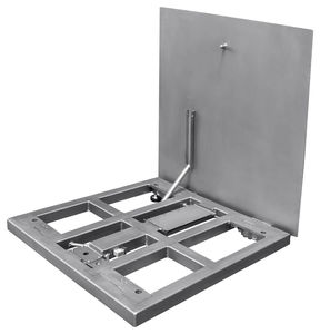 platform scale