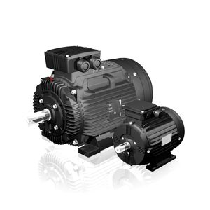 AC motor