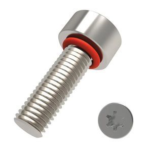 fastening screw 1
