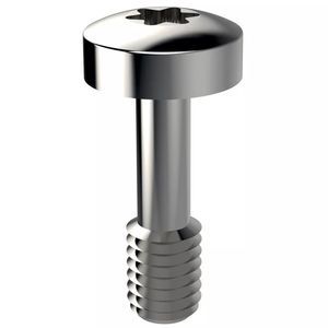 flush-mounted panel screw 1